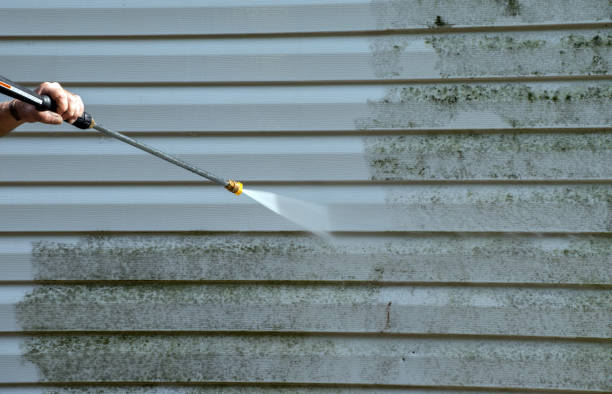 Best Residential Pressure Washing Services  in Bridgeport, WV