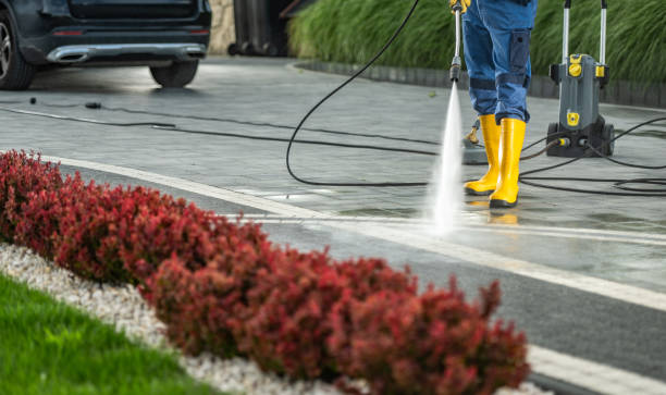 Best Roof Power Washing Services  in Bridgeport, WV